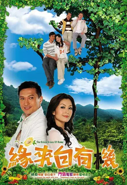 《缘来自有机》：又一部被低估的爱情片！接地气的浪漫，笑中带泪，看完想结婚！