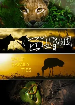 《它们的婚姻》：这他妈是喜剧？婚姻里的鸡毛蒜皮，比脱口秀还炸裂！