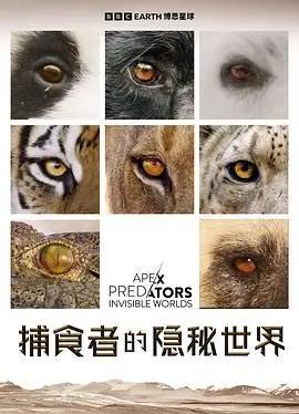 《捕食者的隐秘世界》：都市剧中的一股泥石流，简直拉胯到家！