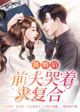 离婚后，前夫哭着求复婚 海报